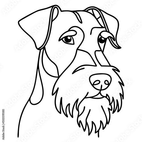 Miniature Schnauzer dog portrait line art. Canine illustration shows adorable schnauzer head.  Elegant miniature schnauzer image ideal for pet lover greeting cards.