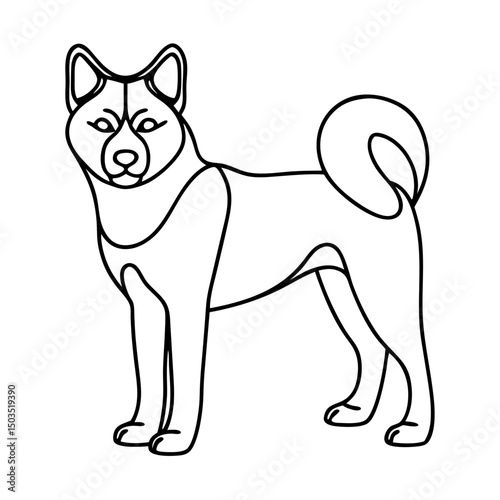 Alaskan Malamute dog Canis familiaris breed profile.  Alaskan Malamute canine illustration for pet lovers and dog owners.