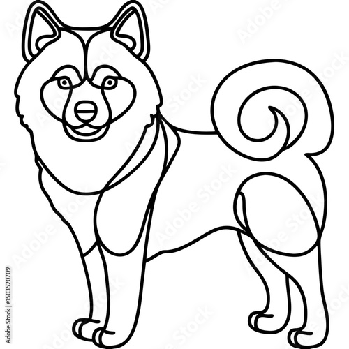 Samoyed dog portrait.  Line art illustration of fluffy Samoyed dog Canis familiaris.  Elegant dog breed image for pet lovers. Perfect for pet websites and dog breed guides.