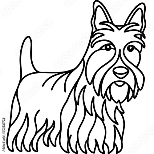 Scottish Terrier dog portrait line art.  This charming canine illustration features a Scottie dog, known for its distinctive wiry coat and sturdy build.  Perfect for pet-themed designs,
