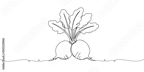 Continuous single line drawing of white radish with leafy top, depicting crispness and earthy color, line art style vector illustration.