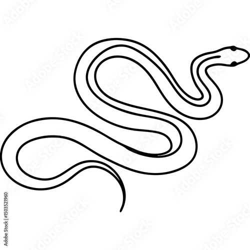 Line drawing of a snake, black and white, for print design