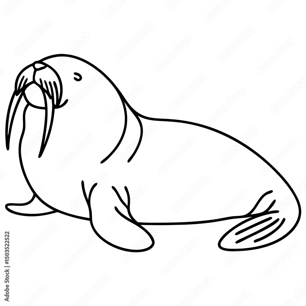 Fototapeta premium Walrus line drawing, black and white, for children's books