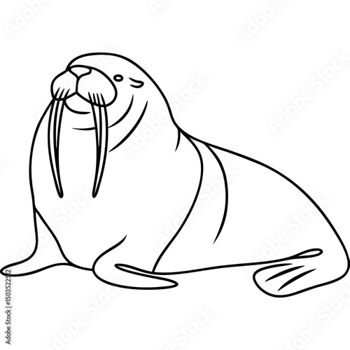 Walrus illustration, line art, monochrome, for educational purposes