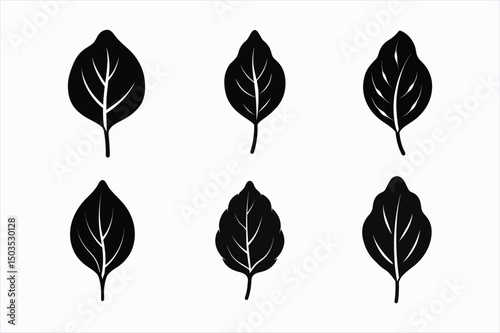 set of spinach leaf silhouette vector illustration