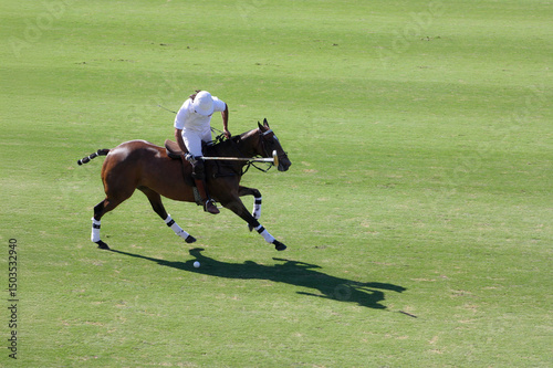 Polo Game