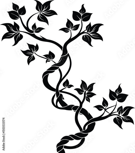 Twisting Vine With Sparse Leaves Silhouette