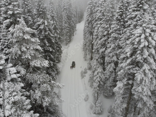 aerial view of the road into jungle in winter