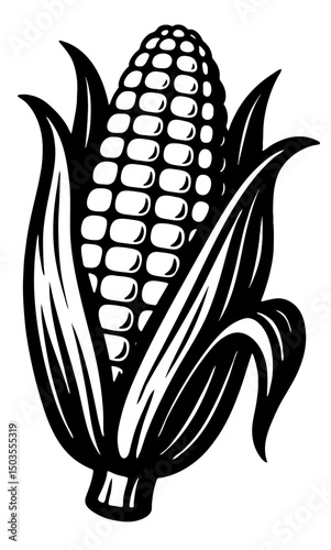 A black and white drawing of a corn stalk