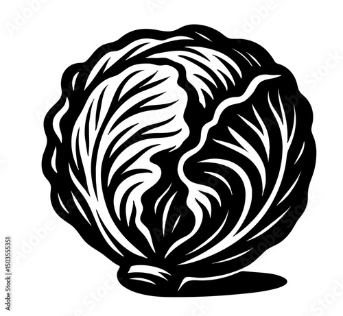 A black and white drawing of an iceberg lettuce