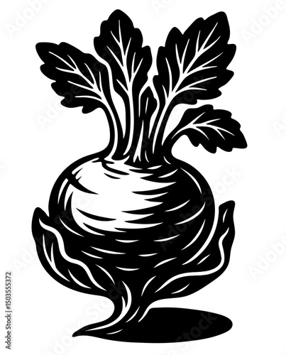 A black and white drawing of a kohlrabi