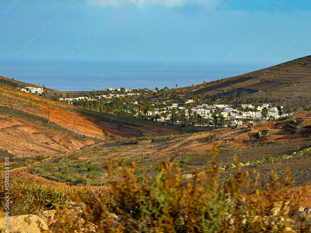 Fototapeta premium Scenic view of an island village nestled among palm trees with the Atlantic Ocean in background. Whitewashed town is surrounded by volcanic hills and dry terrain typical of Lanzarote, Canary Islands.