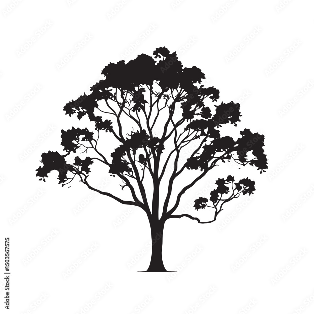 Fototapeta premium Eucalyptus Tree Silhouette for Nature Art