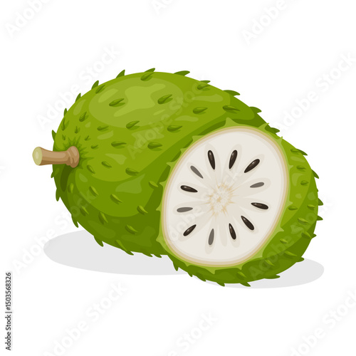 Illustration of soursop fruit, also called graviola, guyabano or Annona muricata, isolated on white background.kiwi fruit isolated on white
