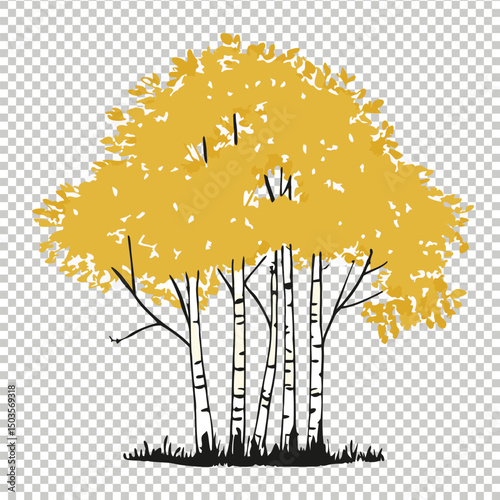 High-Quality Aspen Tree Vector Illustration for Nature-Inspired Designs