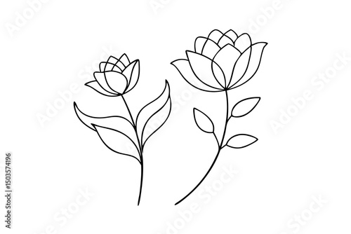 Floral Elegance: Delicate hand-drawn illustration of two elegant flowers on a minimalist background, showcasing intricate petal and leaf detail in a graceful composition.