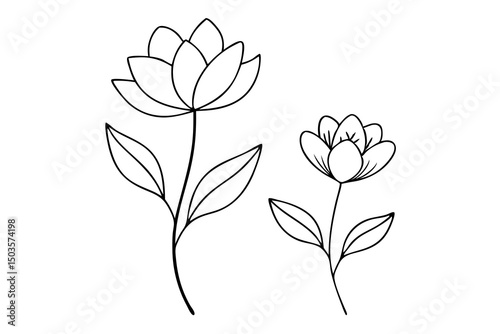 Delicate Bloom: A serene illustration of two elegant flowers, rendered in graceful lines and subtle details, evoking a sense of tranquility and natural beauty.
