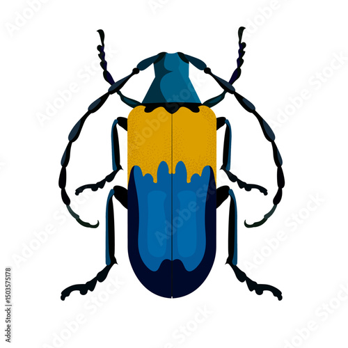 beetle insect vector image without background