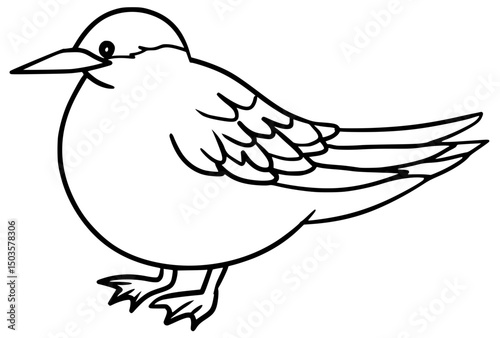 Arctic Tern Cartoon Outline Line Art Vector Drawing