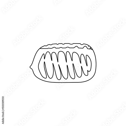 Detailed cockroach egg vector set with outline styles. Editable EPS graphic ideal for biology, pest control, education, and scientific illustrations.
