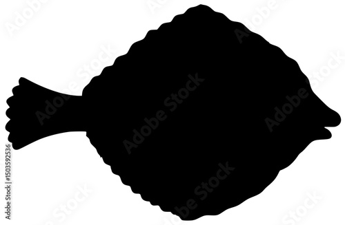 Flounder Fish Silhouette Shadow Vector Drawing
