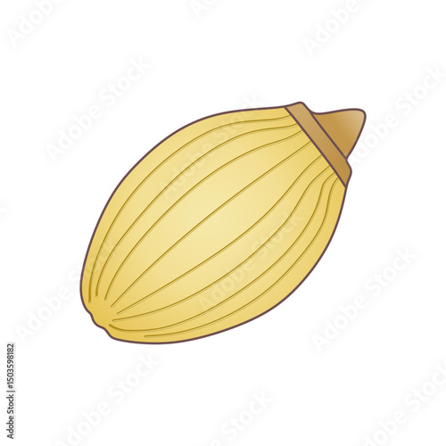 Vector illustration of coriander seed in semi-realistic styles. Editable EPS, perfect for Eid cuisine, kitchen spices, herbal design, or culinary icons.
