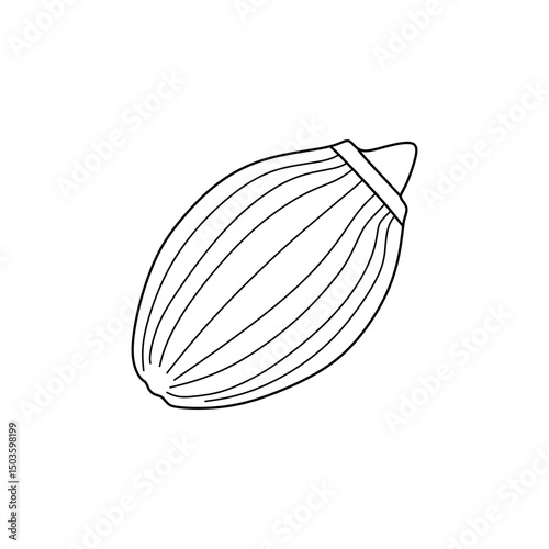 Vector illustration of coriander seed in outline styles. Editable EPS, perfect for Eid cuisine, kitchen spices, herbal design, or culinary icons.