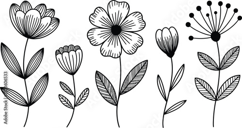 Hand drawn black and white floral elements illustration for design or decoration projects