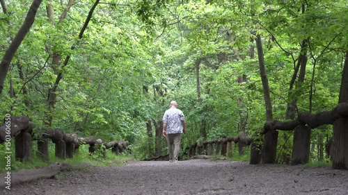 New York, NY, USA A man walks on a wooded path through the Ramble in Central Park. 