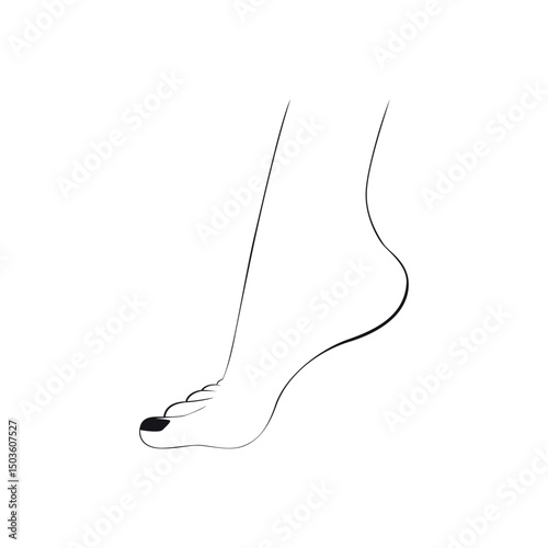 Profile View Line Art Drawing of a Human Foot with Toes
