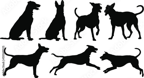 Silhouetted dogs in various poses depicting playfulness running and sitting against a white background.