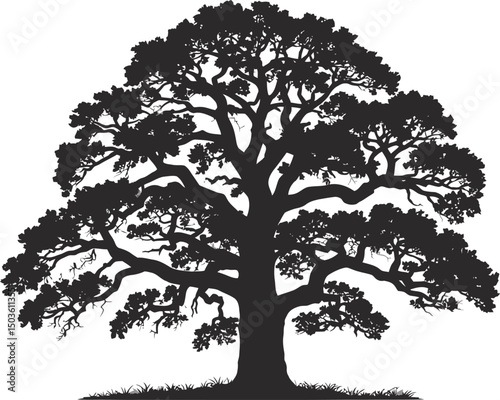 Silhouette of a majestic oak tree showing detailed branches and lush foliage against white background