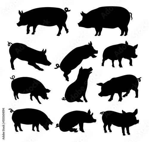 various pig silhouettes vector collection