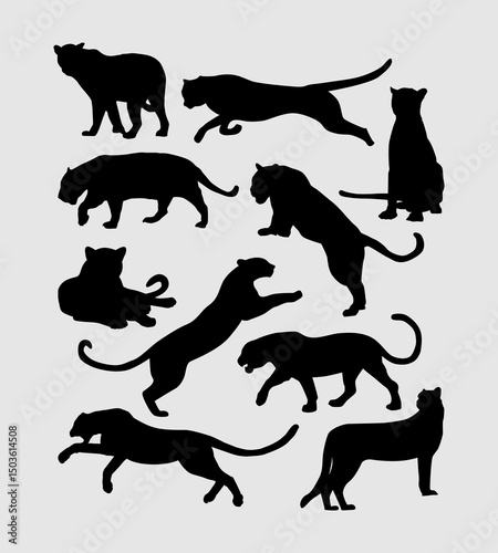 big cat silhouette vector collection