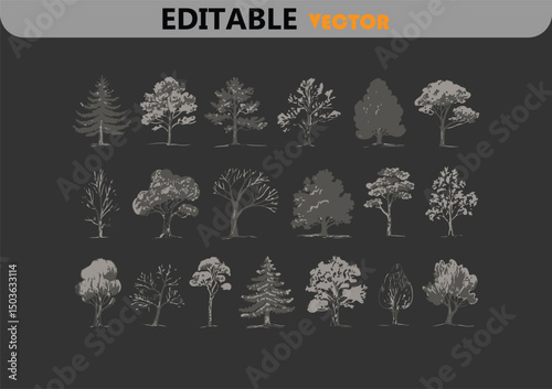 Collection of hand drawn trees vector illustration