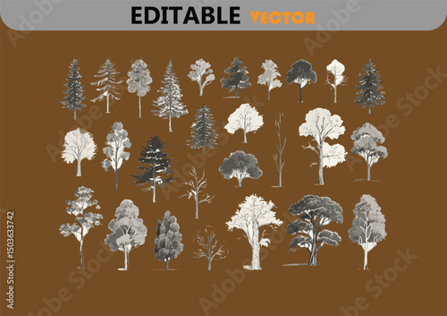 Collection of hand drawn trees vector illustration
