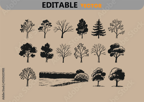 Collection of hand drawn tree silhouettes for design