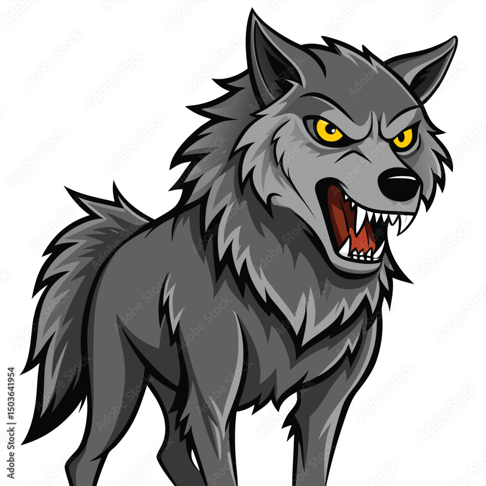 Obraz premium A gray wolf with bared teeth and piercing yellow eyes stands growling with white background