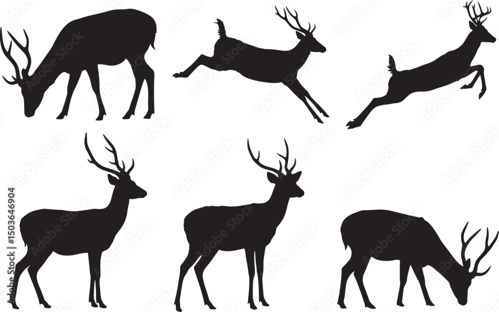 Fototapeta premium Graceful deer with antlers silhouette vector illustration