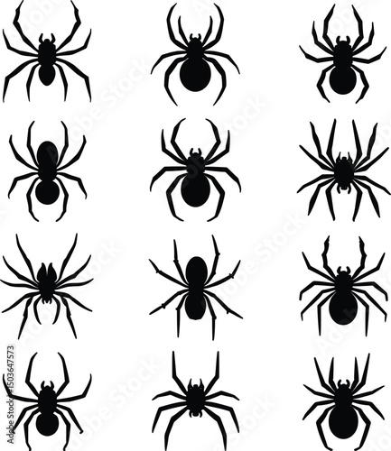 Halloween Spider Silhouettes – Vector Black Spider Clipart Set for Spooky Designs