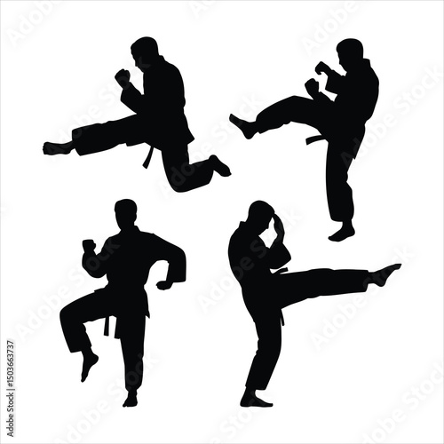 Silhouette illustrations of karate practitioners performing various martial arts techniques