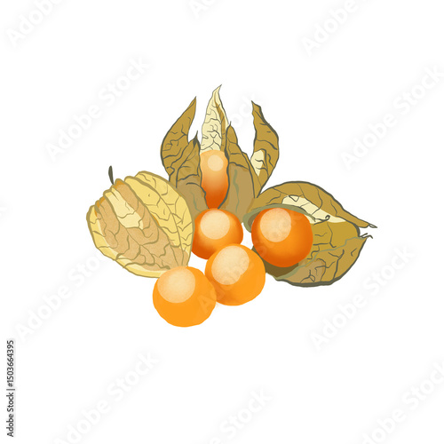Gooseberries 