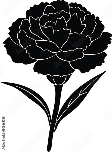 A detailed vector silhouette of a carnation design, Carnation icon vector illustration