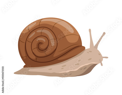 Cute snail cartoon against white background
