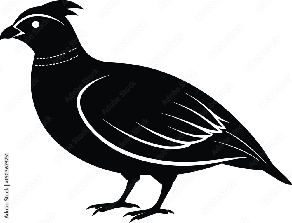 Obraz premium Bobwhite Quail vector Silhouette, Quail silhouette Vector illustration design.