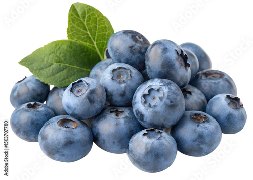 Blueberry Bunch Illustration on Transparent Background