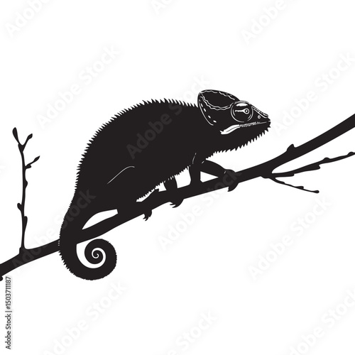 hand drawn silhouette of chameleon , black silhouettes isolated on white background