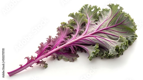 fresh red kale isolated on white background