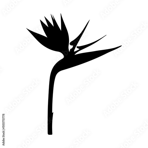 Bird of paradise flower black silhouette white background