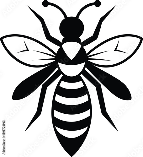 army wasp